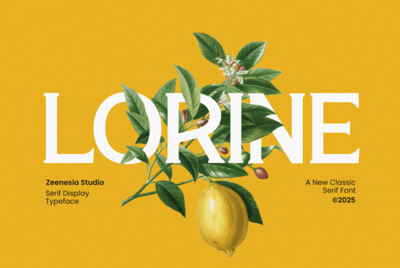 Lorine: A Serif Font That Elevates Editorial Design